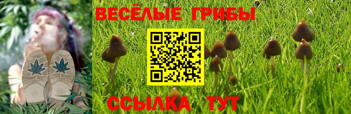 Ногинск  Галлюциногенные грибы мицелий  Псилоцибиновые грибы Psilocybine cubensis  Вход с VPN 