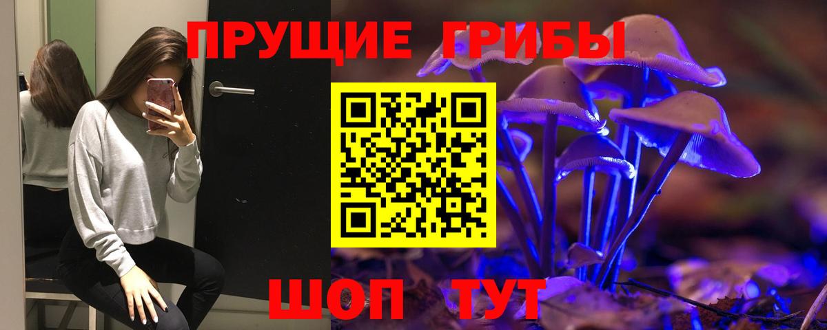 Галлюциногенные грибы Psilocybine cubensis Ногинск